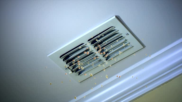 Best Ventilation Cleaning Services  in Wildwood, MO