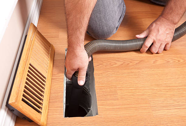 Best Air Duct Sanitizing Services  in Wildwood, MO