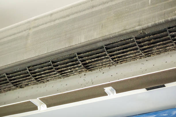 Best Air Duct Cleaning Near Me in Wildwood, MO